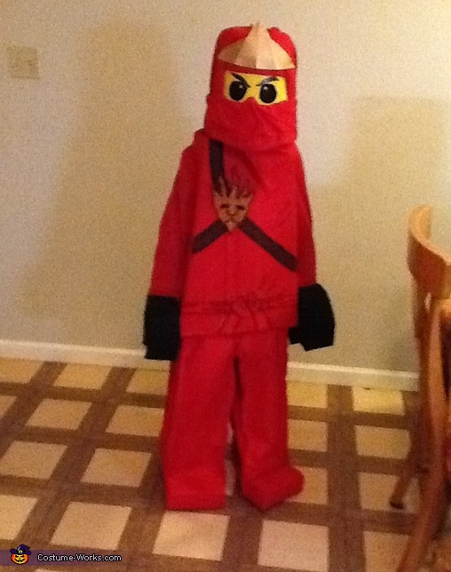 Lego Ninjago DIY Costumes