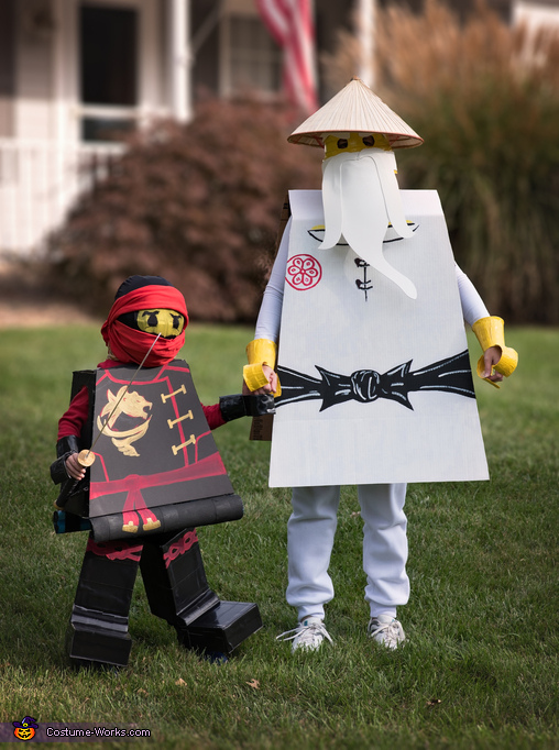 Lego Ninjago Costume