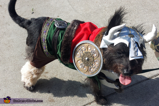 Leif Eriksson the Viking Costume