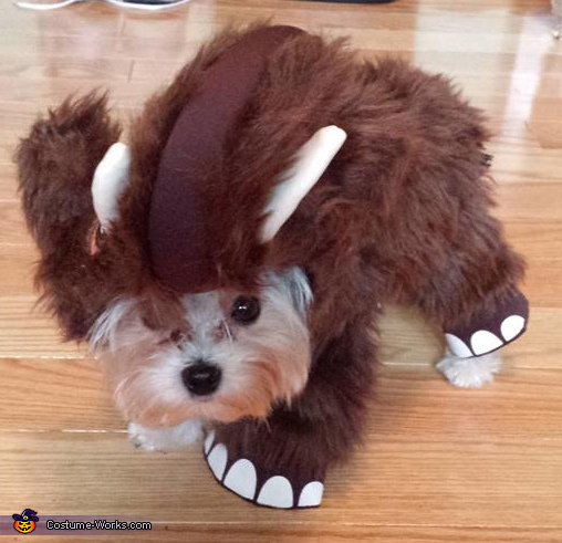 Lexi The Wooly Mammoth Costume