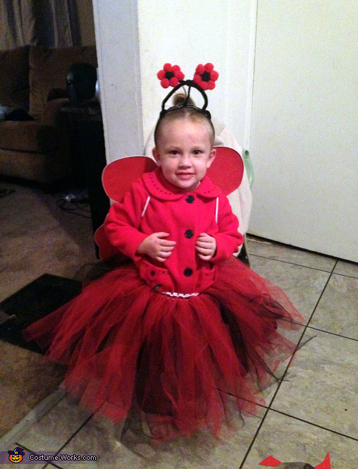 DIY Ladybug Costume for Halloween