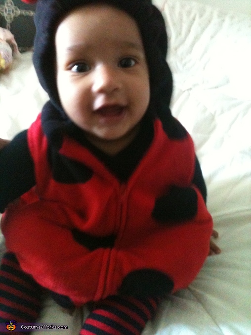 Lil Ladybug Baby Costume