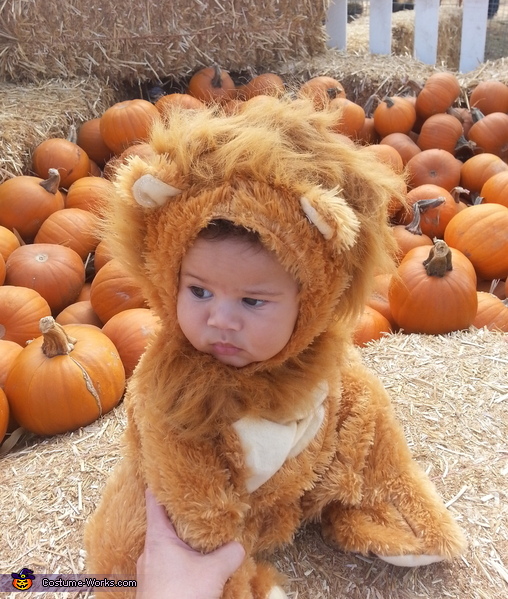 Lil' Lion Baby Costume