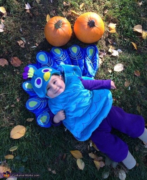 Lil Sweet Peacock Baby Costume