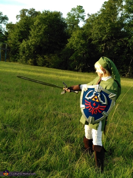 Link from The Legend of Zelda Costume