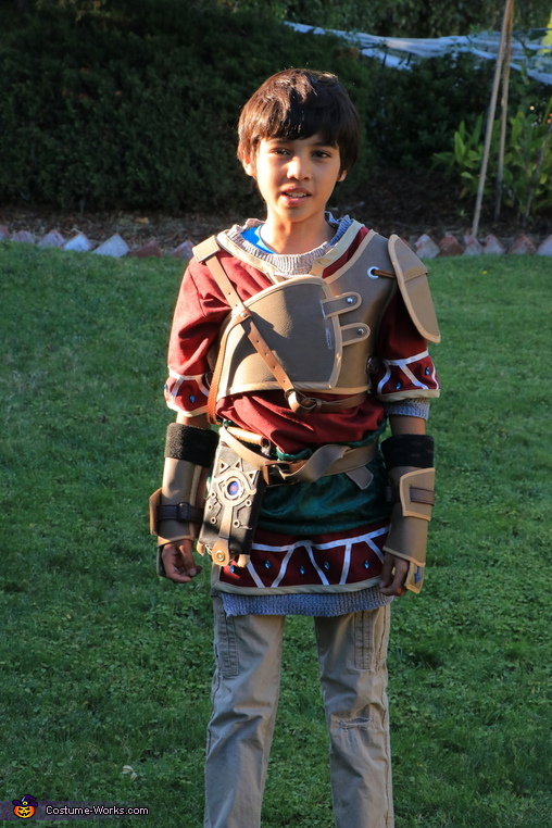 Link in Hylian Tunic Costume