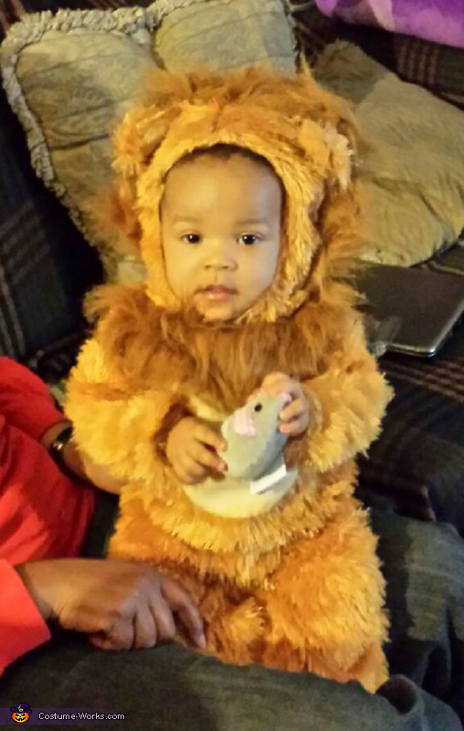 Cute Lion Baby Costume | Original Halloween Costumes
