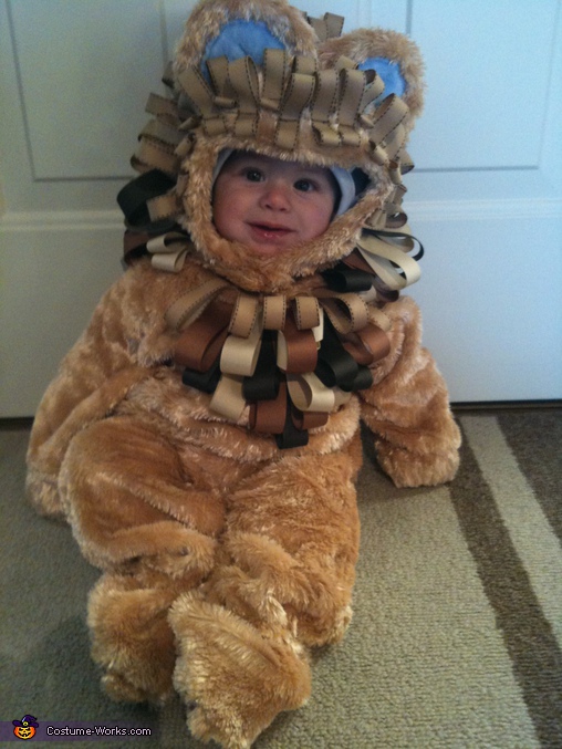 diy lion costume