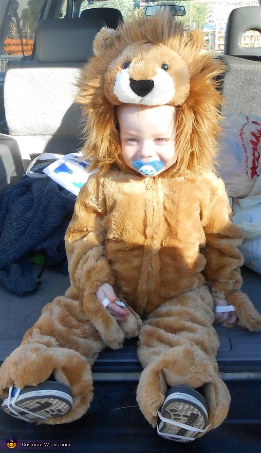 Lion Baby Costume
