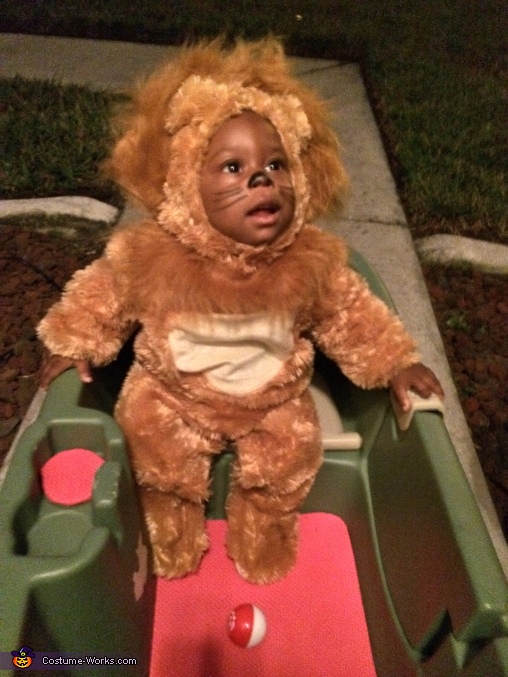 Lion Baby Costume