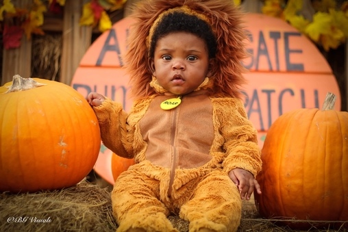 Lion Cub Costume