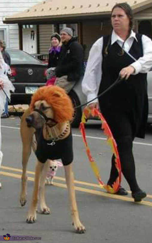 Lion Dog Costume