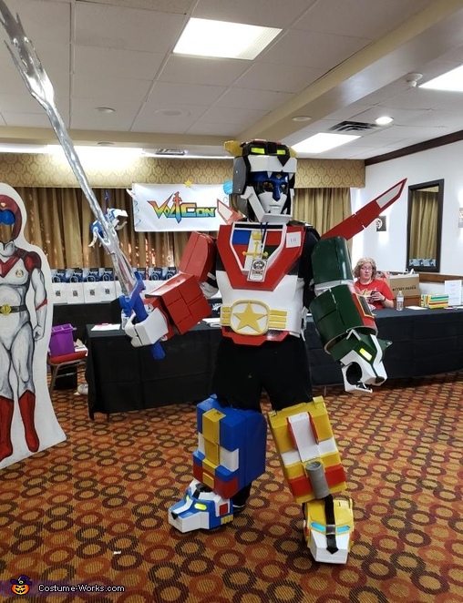Lions of Voltron Costume