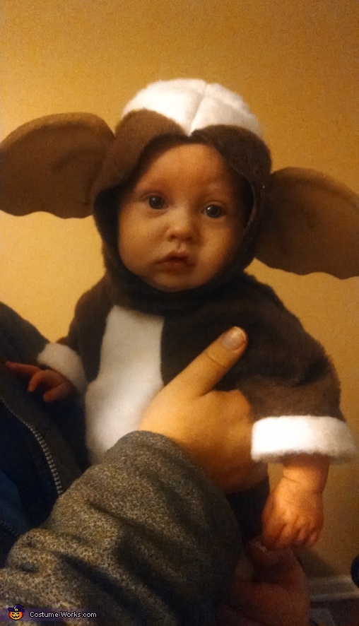 Baby Gizmo Costume - Gremlins 