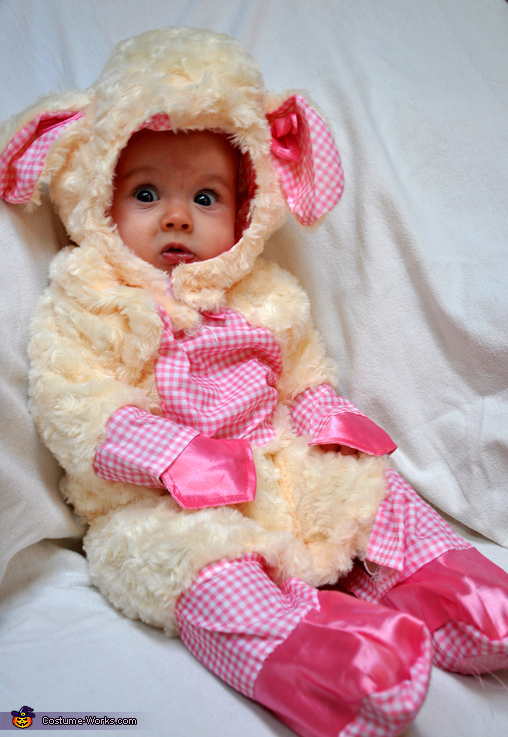 Little Lamb Costume for Babies | No-Sew DIY Costumes