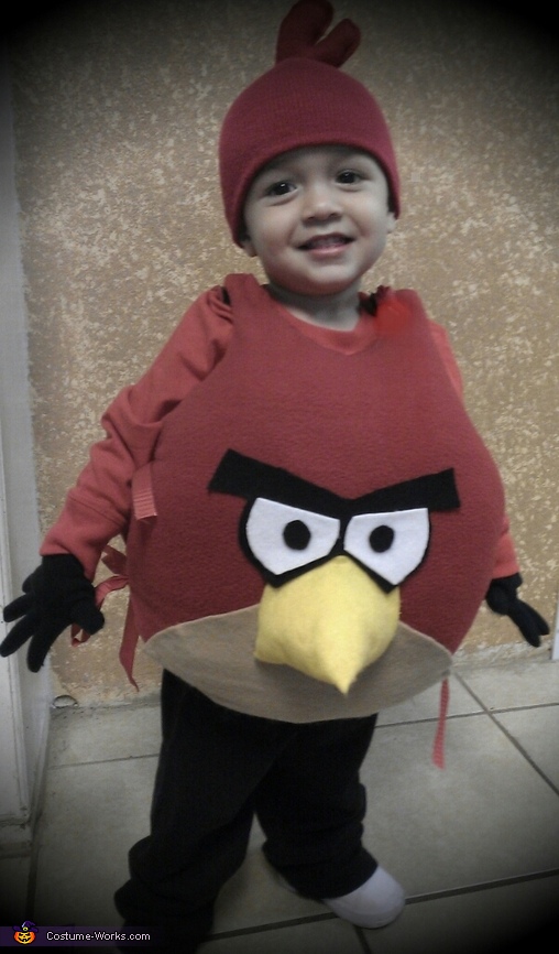 Little Angry Bird Costume