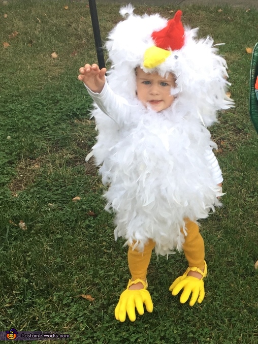 Little Chicken Costume
