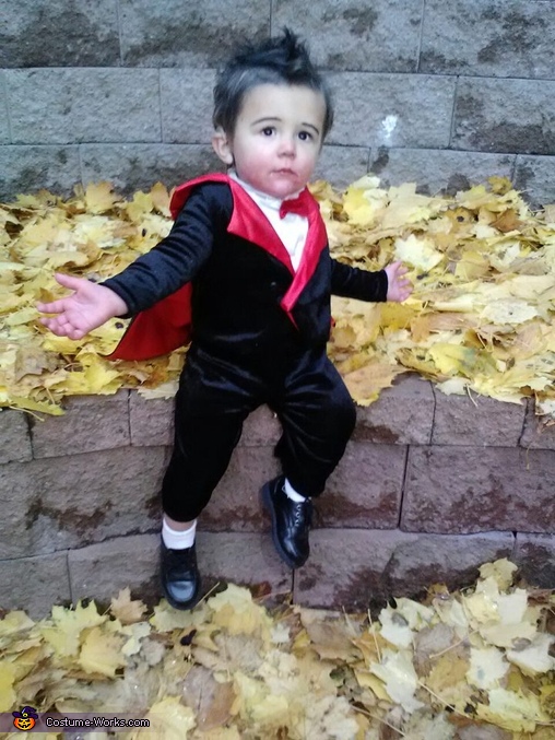 Little Count Dracula Costume