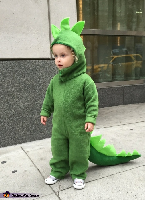 Little Dinosaur Costume