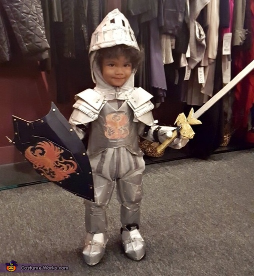 Little Knight in Shining Armor Costume