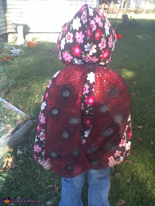 Little Ladybug Costume