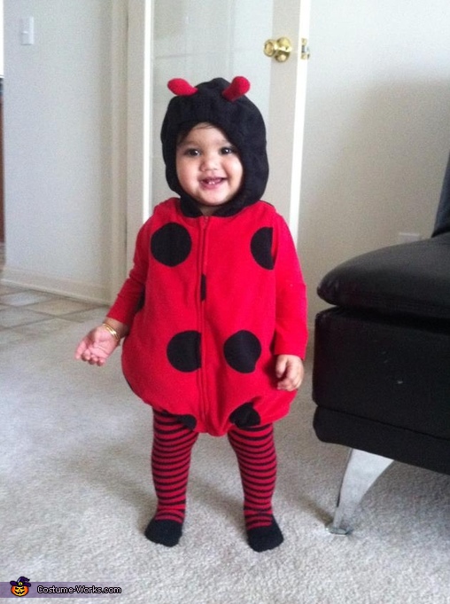 Baby shop ladybug outfit