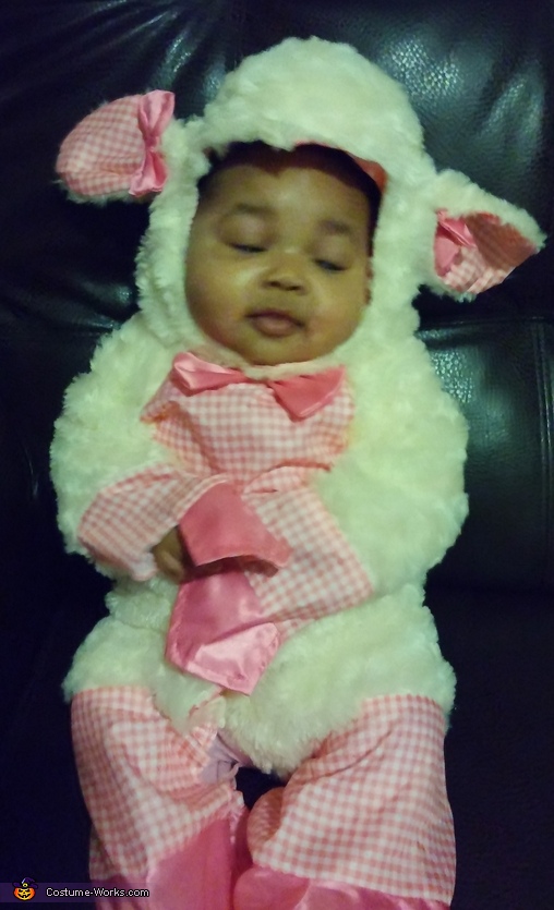 Little Lamb Costume