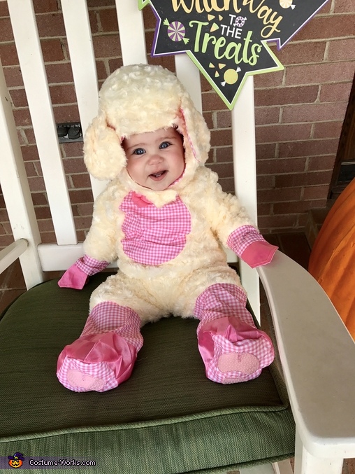 Cutest Little Lamb Costume