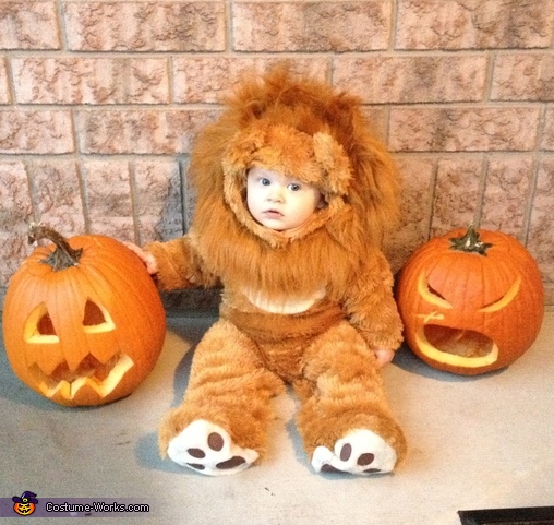 Little Lion Costume