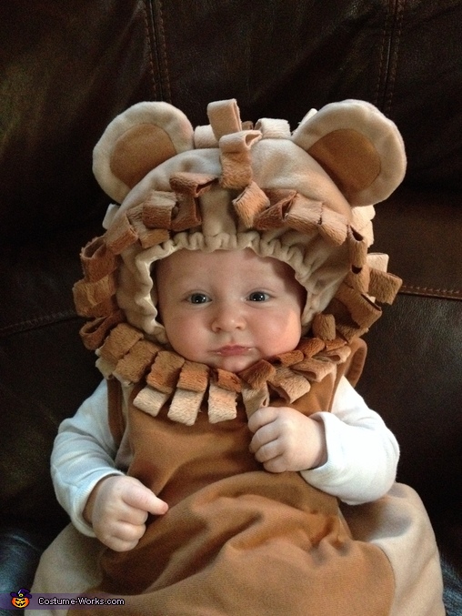 Little Lion Costume