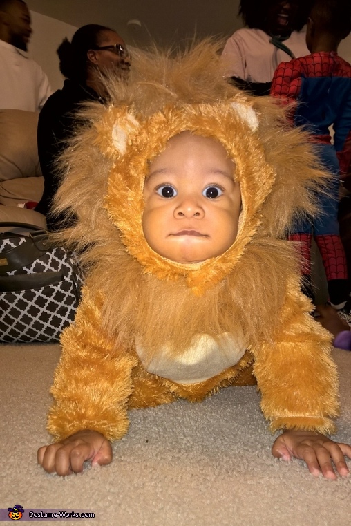 Little Lion Baby Costume