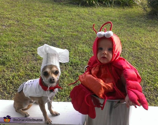 Little Lobster and Chef Costume