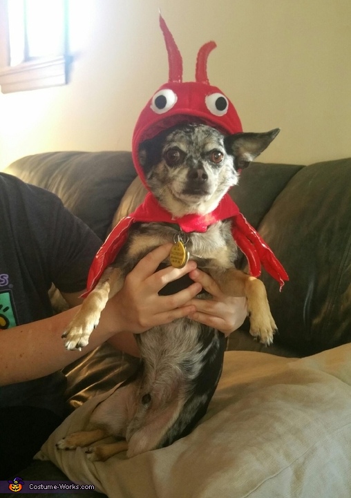 Little Lobster Costume