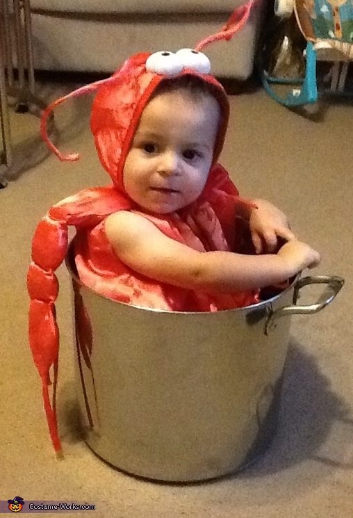 Little Lobster in a Pot Baby Costume