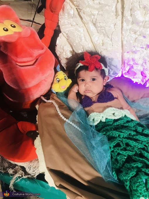 Little Mermaid Costume