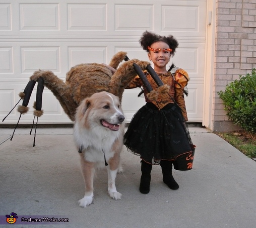 Little Miss Muffet Costume