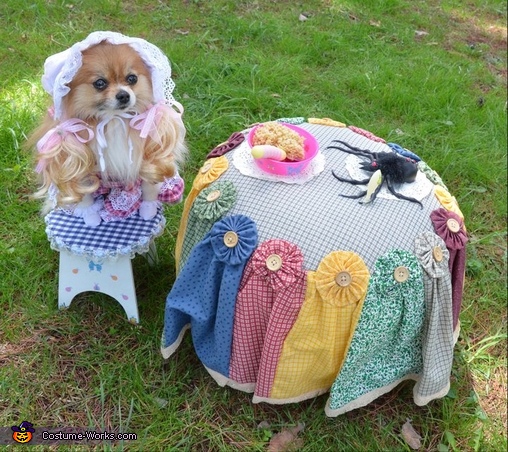 Little Miss Muffet Dog Costume