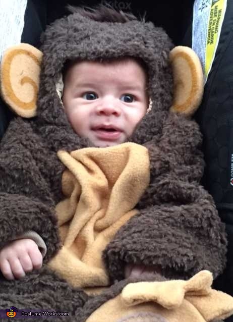 Little Monkey Costume