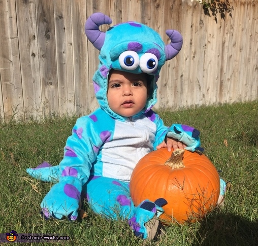 Little Monster Baby Costume