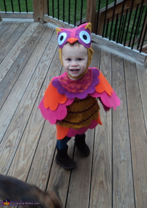 Little Owl Costume | Original Halloween Costumes