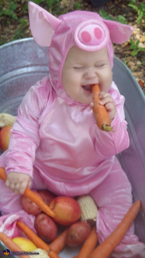 Little Piggy Baby Costume