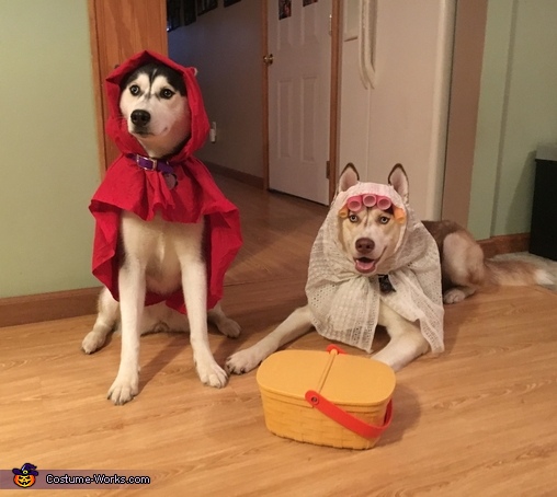 Little Red Riding Hood And The Bad Wolf Dogs Costume Diy
