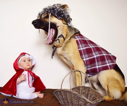 Little Red Riding Hood And The Big Bad Wolf Baby And Dog Costume