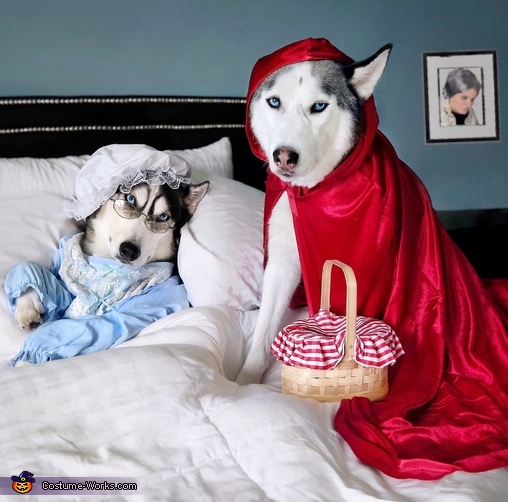 Little Red Riding Husky Costume