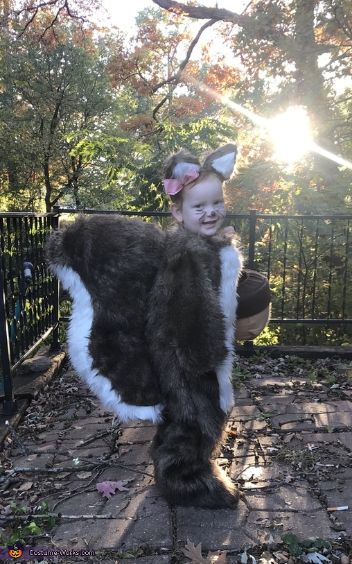 Little Squirrel Girl Costume