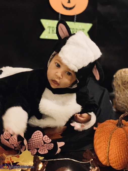 Little Stinker Costume | Best Halloween Costumes