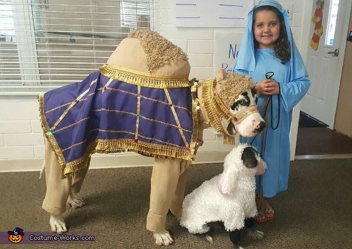 Live Nativity Costume