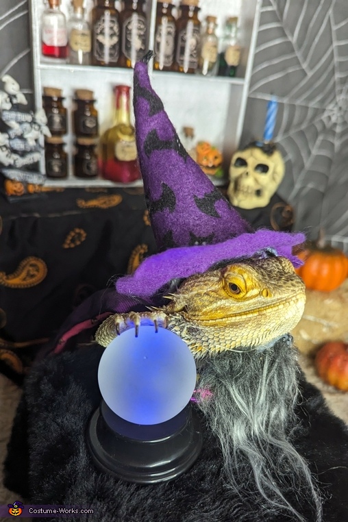 Lizard Wizard Costume