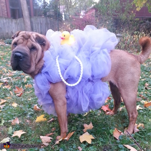 DIY Loofah Dog Costume