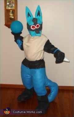 Lucario Pokemon Costume For Boys